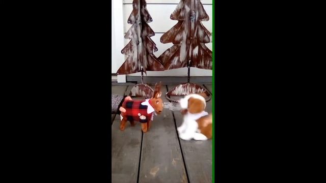 Elf on the shelf pets series 1 episode 1 смотреть онлайн