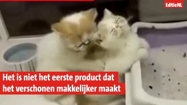 Kattenbak maakt zichzelf schoon - EDITIE NL смотреть онлайн