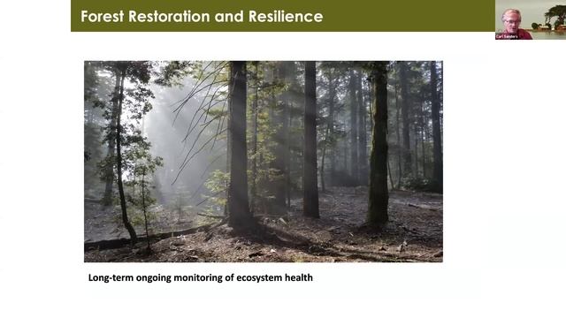 Fuel Reduction and Habitat Restoration: Best Management Practices and Environmental Compliance смотреть онлайн