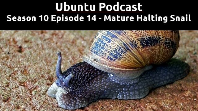 Season 10 Episode 14 - Mature Halting Snail смотреть онлайн
