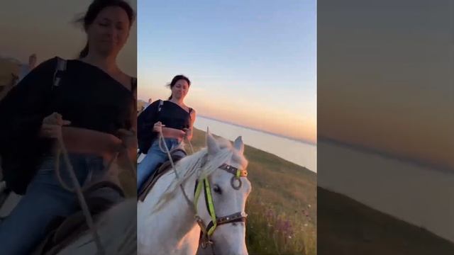 Крым. Лошадка Афина смотреть онлайн