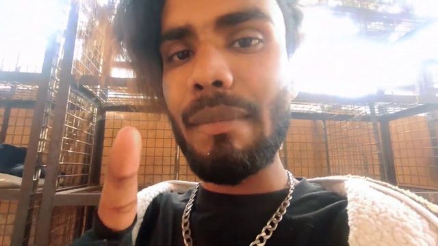 URFi JAVED DRESS PUBLIC REACTION 😂 || मैं Urfi javed का पति हूं 😂 || Saab Blogger смотреть онлайн