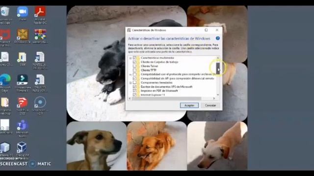 ¿Cómo uso WSDL en windows 10 para instalar linux? смотреть онлайн