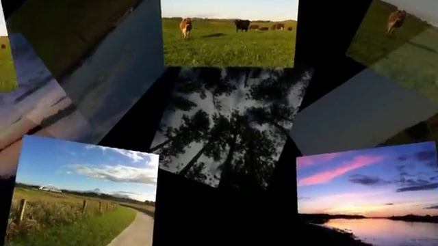 New Zealand - نيوزلاند смотреть онлайн