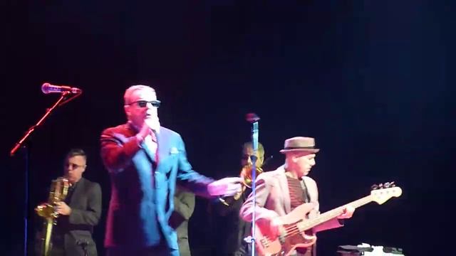 Madness Embarassement Live @ AFAS Amsterdam 12-12-2019 смотреть онлайн