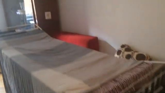 ★Tour pelo meu apê | Meine WG in Graz | My Flat Tour★ смотреть онлайн