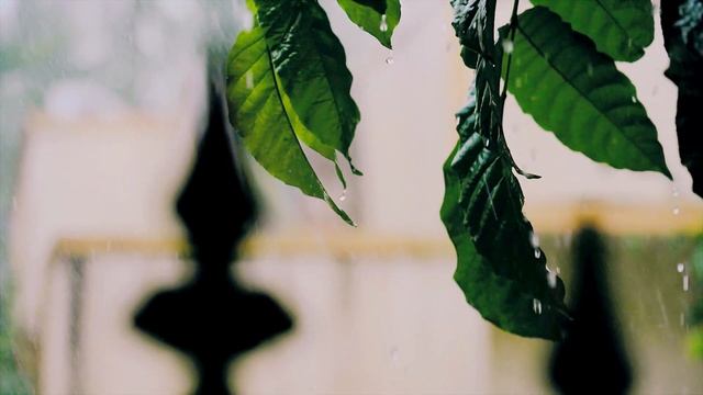 4k RAINING OUTSIDE MY WINDOW, RELAX, CALM, ANXIETY FREE, OPEN SOUND.HELP YOU SLEEP. смотреть онлайн