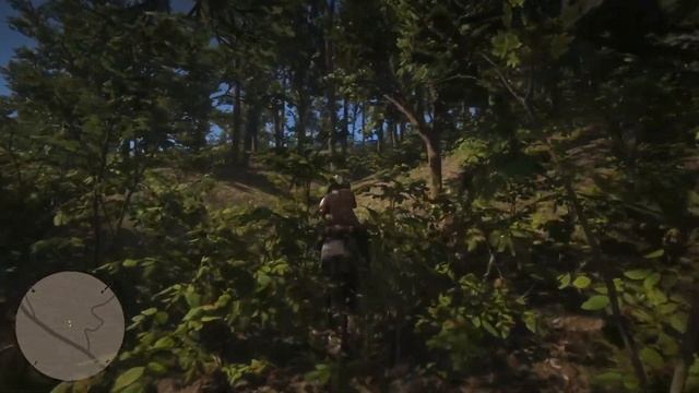 FPL Replays Red Dead Redemption 2 - 08 Women’s Rights / Horses / Circus Animals смотреть онлайн