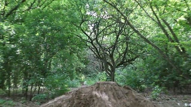 hugo bmx test final cut pro смотреть онлайн