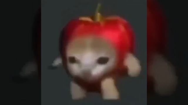Apple Cat Running For An Hour смотреть онлайн