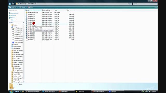 Adobe® Bridge Photo Downloader - Lesson 2 - What setting to use. смотреть онлайн