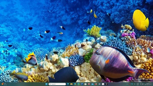 Windows 11 Hardware list updated but minimum requirements stays the same смотреть онлайн