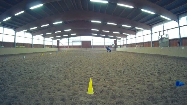 Dressurkür Ardanwen und Andrea Werner смотреть онлайн