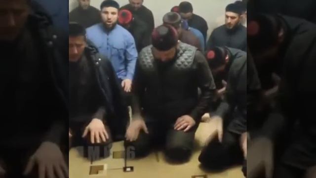ЦУ ВАЙ ДЕЛА ГЕРГАР ВУ ВАЙ ХЬАЖИ ВУ, ЭЛЧАНЕРА БЕРКАТ ДУ ВА ВАЙ ХЬАЖИ ВУ, ДЕЛА РЕЗИ ХИЛЛА ХЬУНА ХЬАЖИ смотреть онлайн