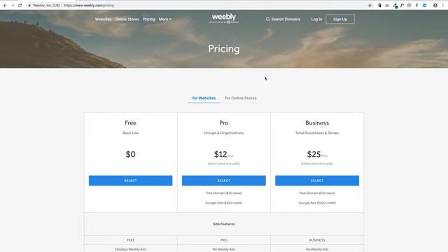 DIY or Hire A Web Designer? смотреть онлайн