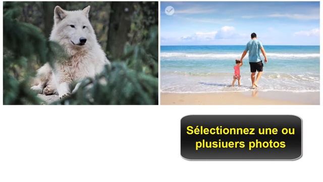 Comment copier et telecharger des photos de Google sur PC смотреть онлайн
