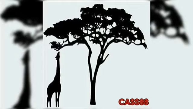 @CassinoMcs - SAFARI (@Rell Records88) #BraboSafari #CassinoMcs #Cass смотреть онлайн