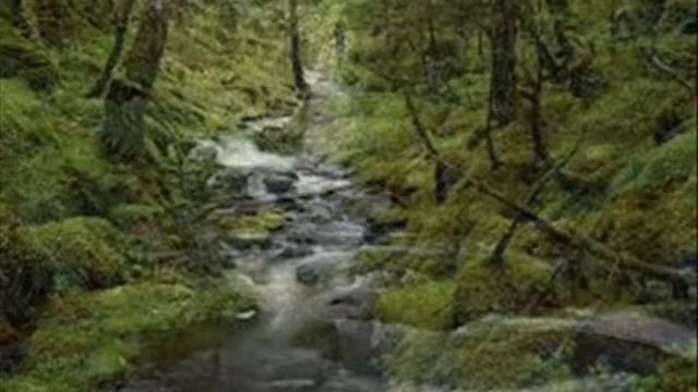 TEESDALE PARK by Nick108 смотреть онлайн