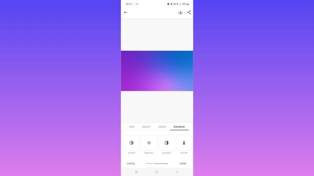 How To Use Adobe Express (Tutorial For Beginners) смотреть онлайн