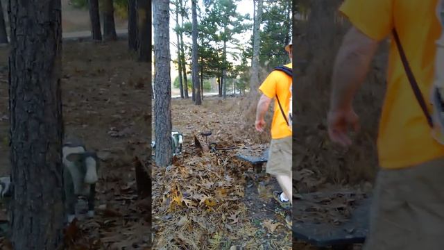 Leaf blowing with the stihl br 600 MAGNUM смотреть онлайн