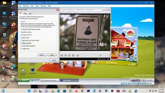 Windows XP BSOD 118 (2022) смотреть онлайн
