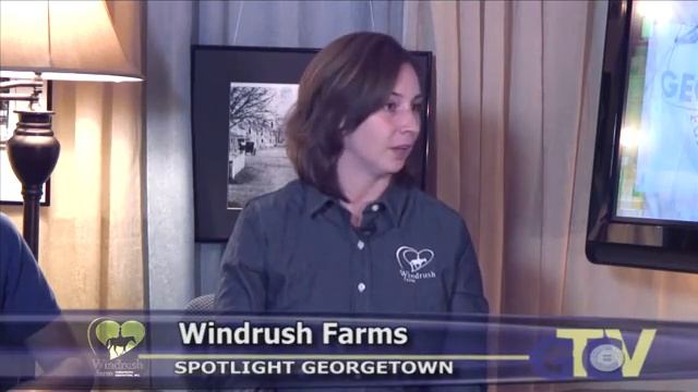 SpotGeo Windrush смотреть онлайн