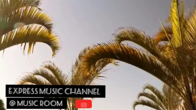 Palm tree with sounds смотреть онлайн
