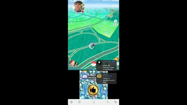 🌟 LIVE 🌟 SHINY TYRANITAR w/ NEW MOVESET in less than 24 hours Pokemon GO Q&A смотреть онлайн