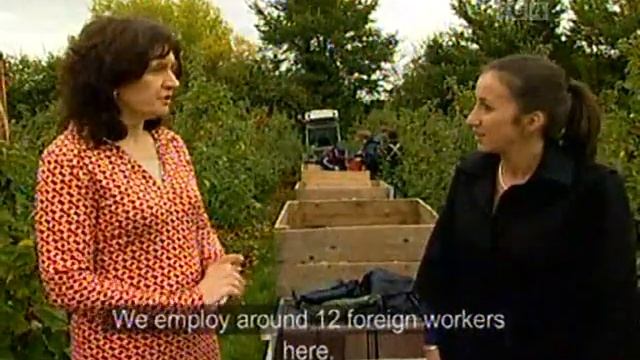 Apple Farm on TG4 смотреть онлайн