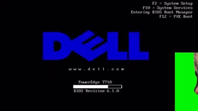 Windows vista beta 2 parody but with cat memes смотреть онлайн