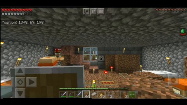 MINECRAFT DAY 15 - - PILLAGER RAID. // BARTLING WITH PIGLINGS ///.. смотреть онлайн
