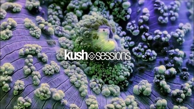 #005 Liquid Love (Liquid Drum & Bass Mix) смотреть онлайн