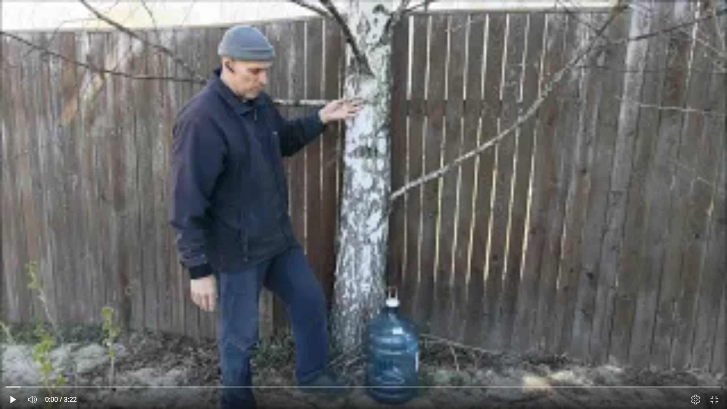 Простой способ сборки березового сока. Качаем БЕРЕЗОВЫЙ сок ведрами за 5 минут! смотреть онлайн