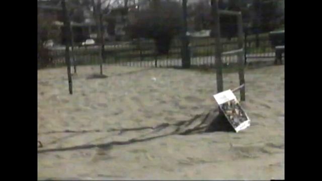 Chronique À la plage de Claude Rajotte - Fleetwood Mac, Laymen Twist, Pale Saints (1990) смотреть онлайн