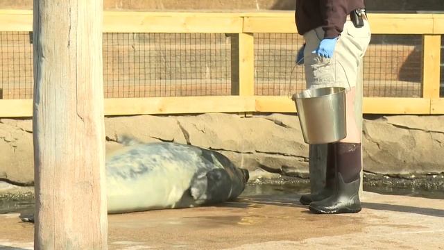 WHAS11 Top Stories: 11 p.m., March 30, 2024 смотреть онлайн