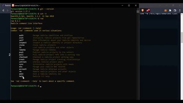 How to Install and work with Radicle CLI on Windows смотреть онлайн