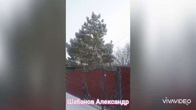 Окно в Новый год! смотреть онлайн
