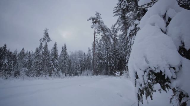 Winter Memories, music by Northmen смотреть онлайн
