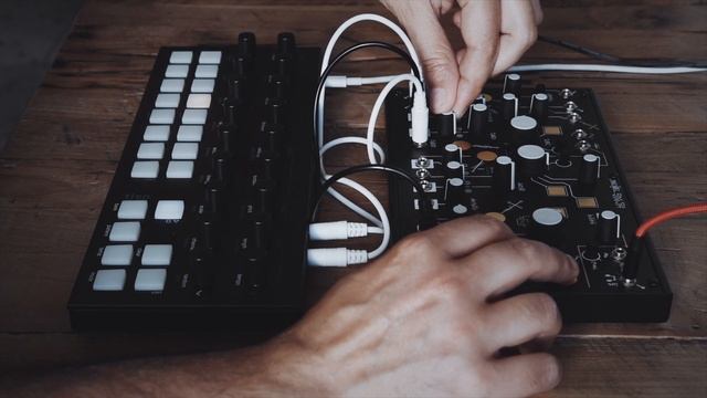 Make Noise Strega and Torso Electronics T-1 смотреть онлайн
