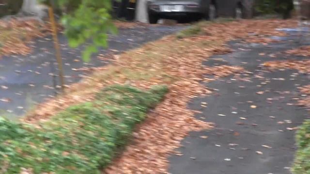 Unstable Local Women See Buck Outside Window - Become Bucks Themselves смотреть онлайн