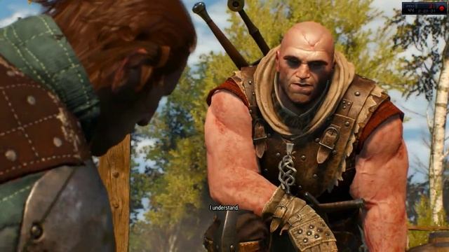 WITCHER 3/GTX750Ti/FX6300 смотреть онлайн