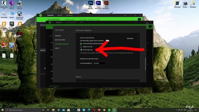 how to stop razer synapse from updating смотреть онлайн