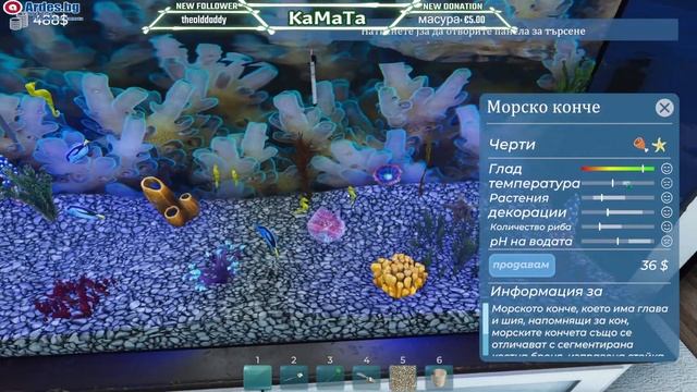Aquarist Първият поглед - Проектиране на перфектния аквариум! #aquarist смотреть онлайн