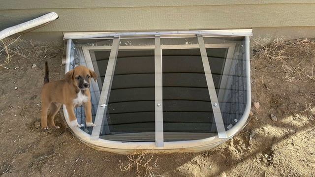 Prevents children and small animals from falling into the window well. смотреть онлайн