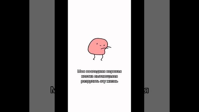 VID-20241020-WA0005.mp4