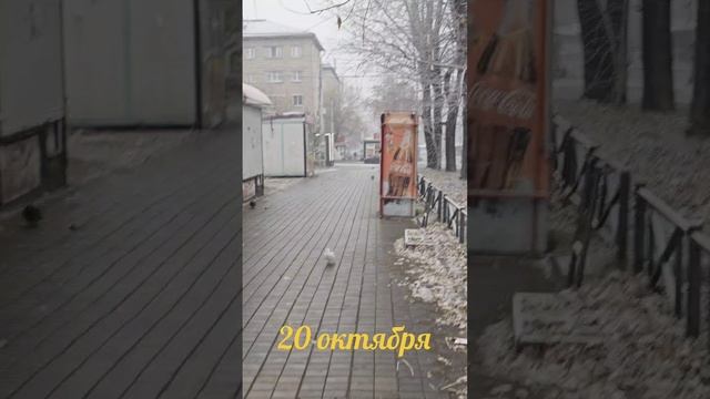 ДОЖДАЛИСЬ 😁 смотреть онлайн