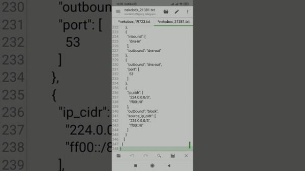 panduan dasar setting nekobox