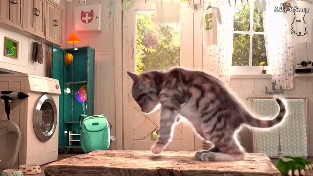 Little Kitten Adventures - Fun Learning Games смотреть онлайн