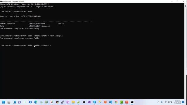 Active administrator user in Windows Machine смотреть онлайн