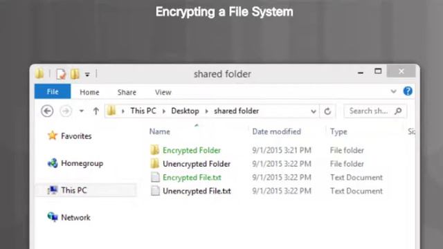 Encrypt Your Data смотреть онлайн